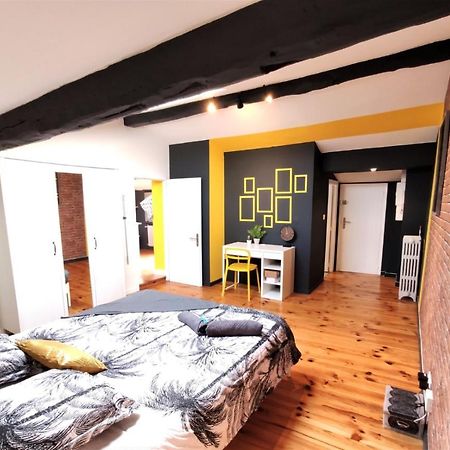 La Terrasse De Jeanne - Vue Magnifique - Netflix Apartment Toulouse Exterior photo
